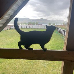 ���� �����, ������, 63 ���� - ��������� 21 ������� 2025