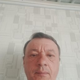 , 52, 