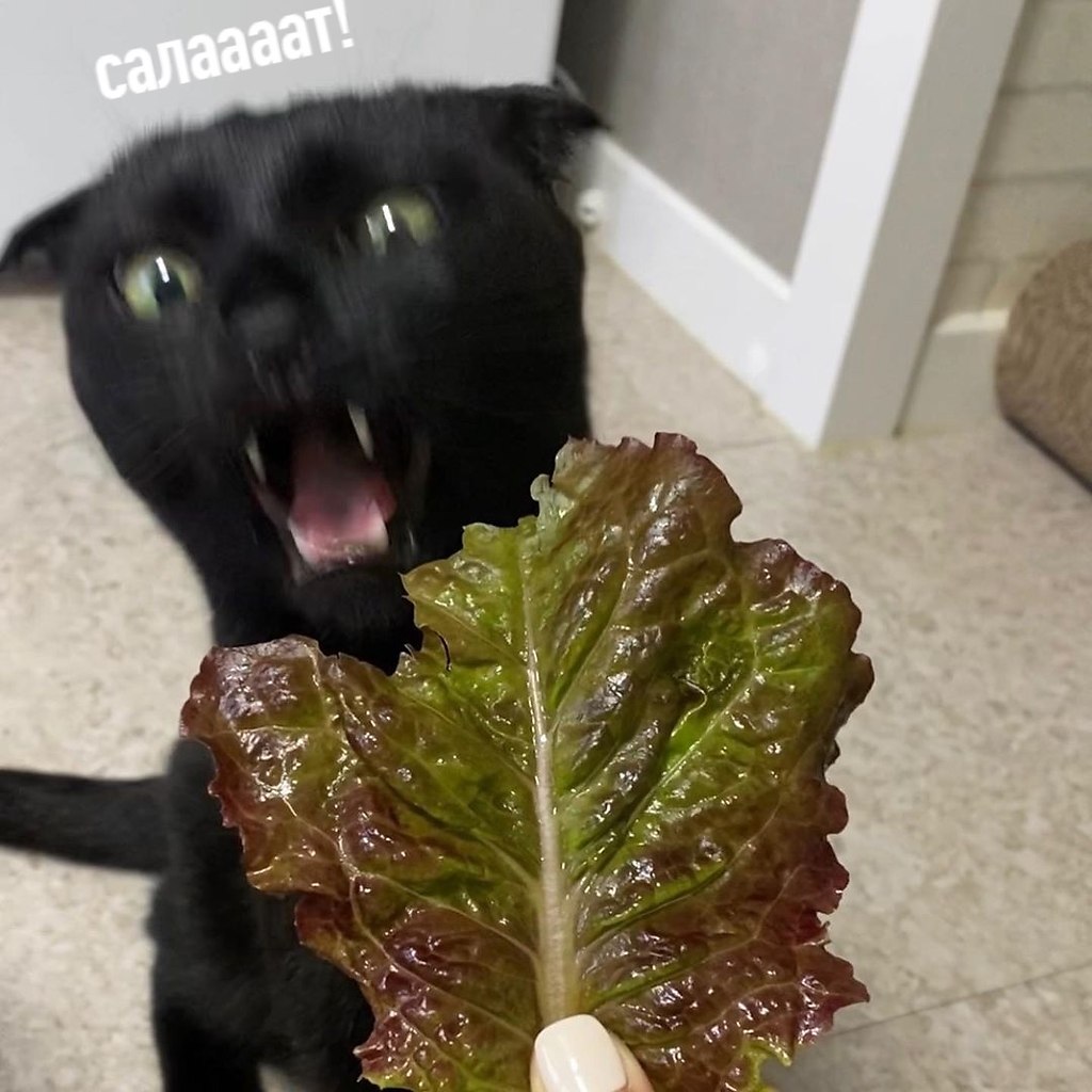  !
