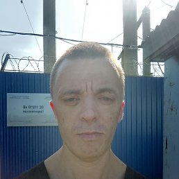 , 41, 
