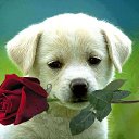 ���� ����, �����������, 63 ���� - ��������� 25 ������� 2025 � ������ ������ ��������