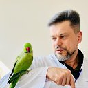 ���� ������, ������, 49 ��� - ��������� 8 ���� 2025 � ������ ���� ����������