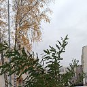 ���� ������, ������, 63 ���� - ��������� 19 ������ 2024 � ������ ���� ����������
