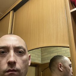 �����, 41 ���, ���������