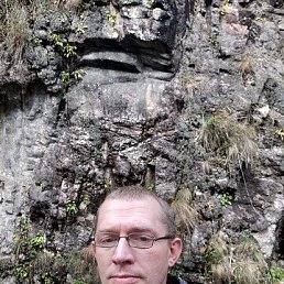 , 44, 