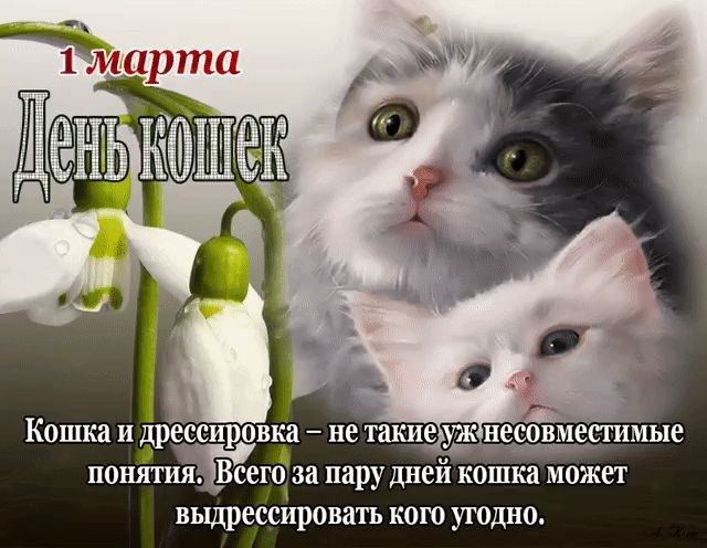    !