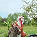 ���� ���������, ��������, 55 ��� - ��������� 10 ���� 2024 � ������ ���� ����������