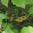 ���� ������, ���������� - ��������� 16 ������ 2024 � ������ ������ ��������