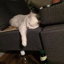 ���� �������, ������, 45 ��� - ��������� 9 ������� 2024 � ������ ���� ����������