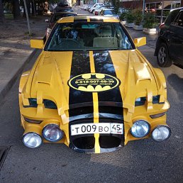 ���� �����, ����������, 50 ��� - ��������� 16 ���� 2026