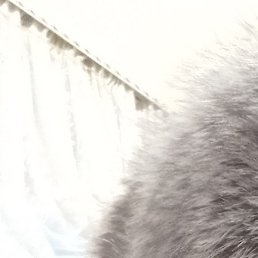 ������, ������, 52 ����