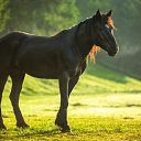 ���� ������, ������, 46 ��� - ��������� 27 ������ 2024 � ������ ���� ����������