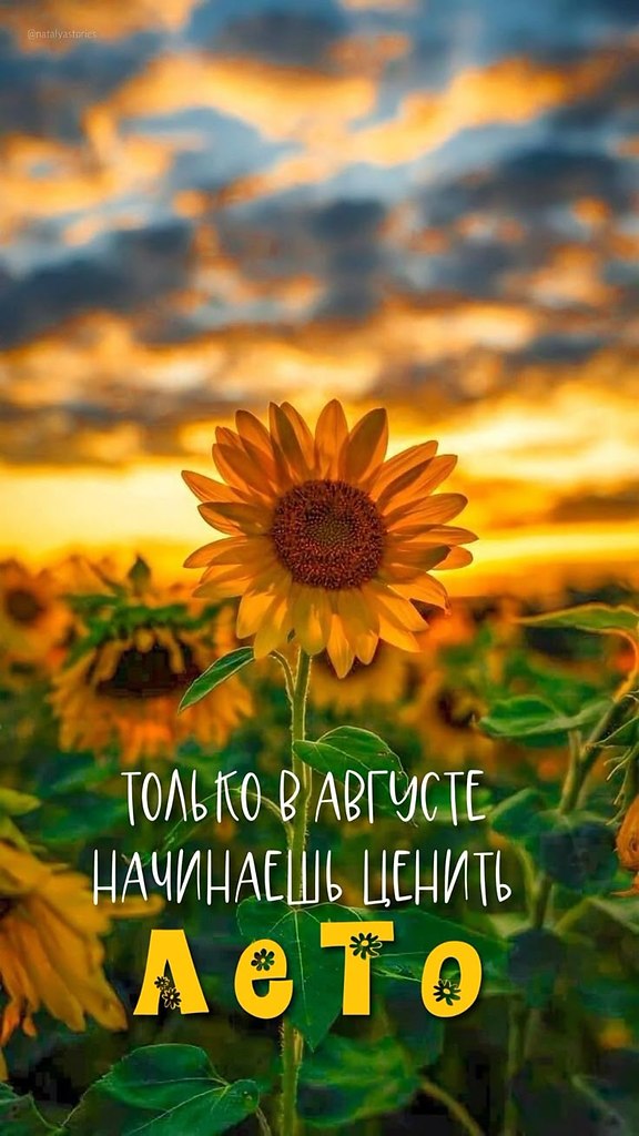 НАСТРОЕНИЕ.А В Г У С ТБез пятнадцати Осень...Без пятнадцати дней...Август рыжий несносенВ суматохе ...