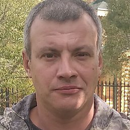 ������, ����, 43 ����