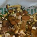 ���� �������, ����� - ��������� 22 ������� 2025 � ������ �������