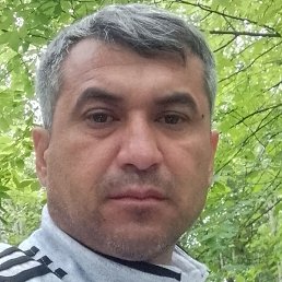 �����, ���������, 40 ���