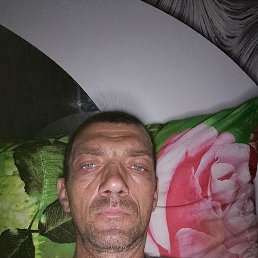 , 42, 