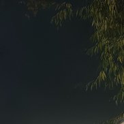 ���������, 22 ����, �������