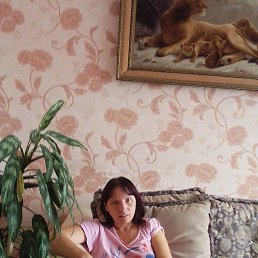 ���� ������, ������, 41 ��� - ��������� 29 ������� 2023