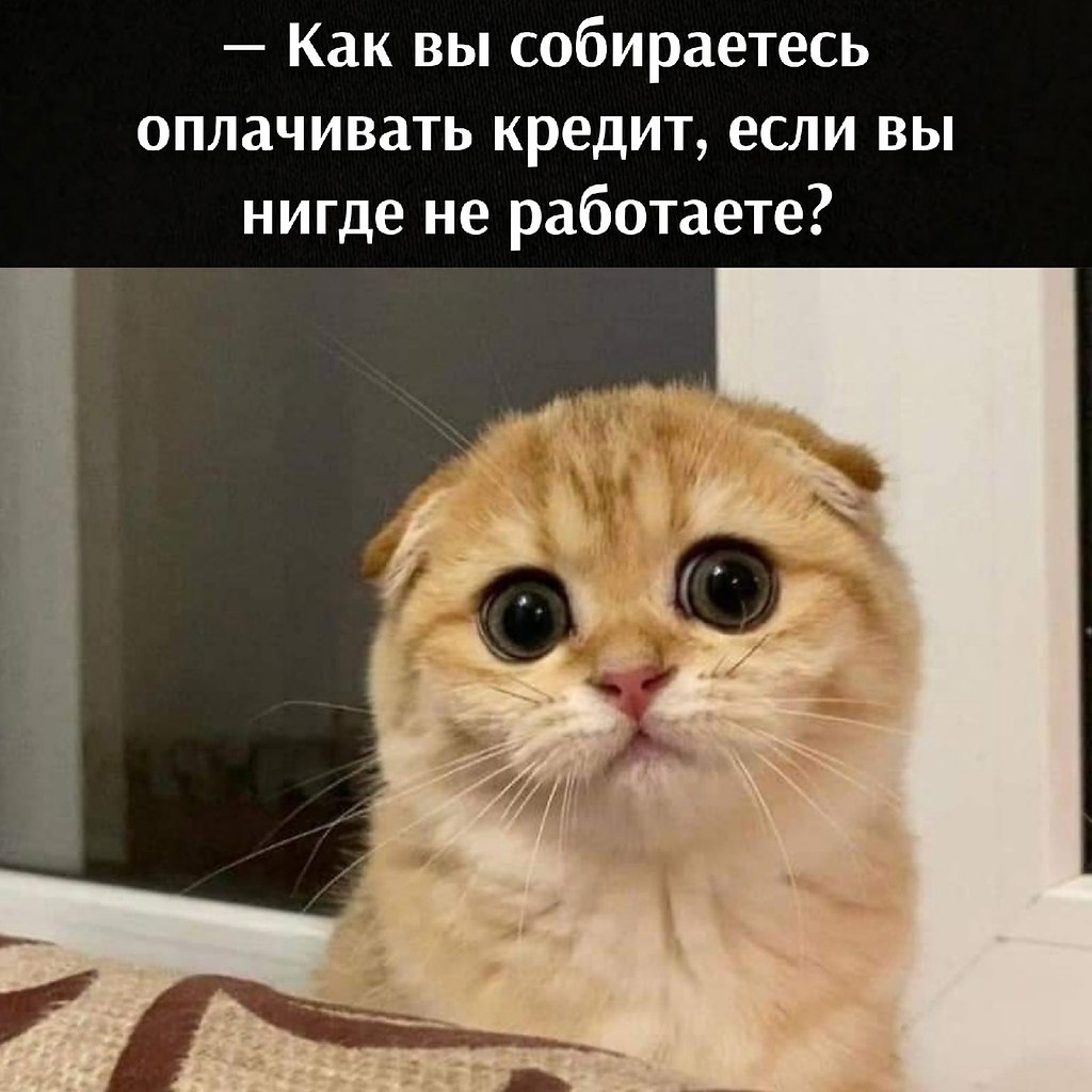       - 2  2025  17:42