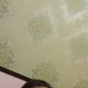 ���� ������, ���������� �����, 41 ��� - ��������� 9 ���� 2024 � ������ ���� ����������