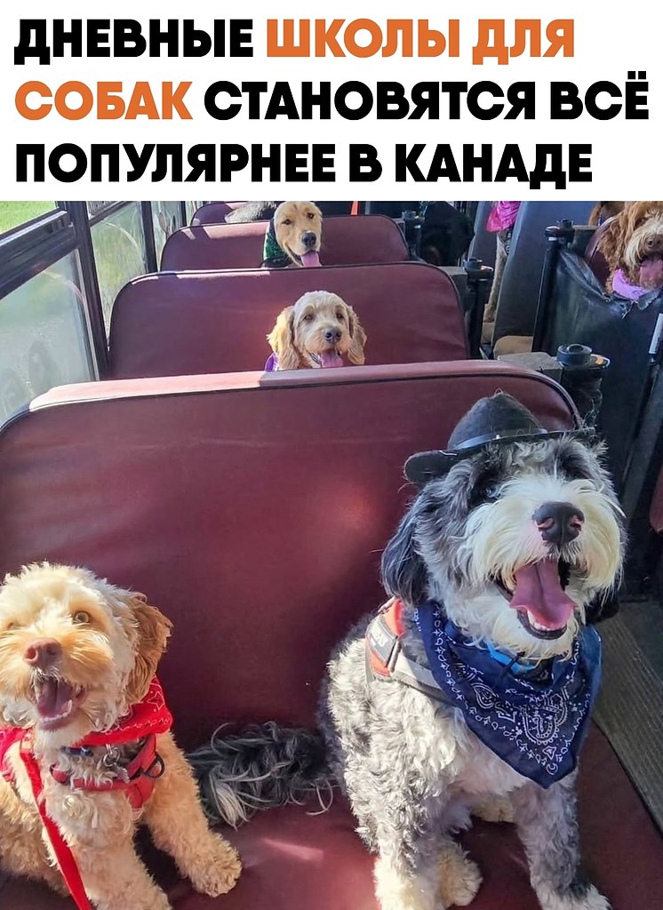 ������� ����� ��� ����� �������� ������������ ����� ���������� �� ���� ������. ��������� �� ���� ...
