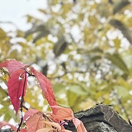 �������, ������-��-����