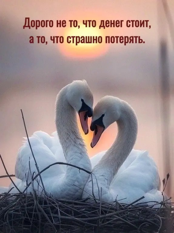  - 26  2025  17:17