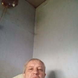 , 53, 