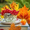 ���� �����, �������, 62 ���� - ��������� 1 ������� 2024 � ������ ������ ��������