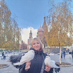 �����, �����, 46 ���