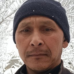 ���, ������������, 49 ���