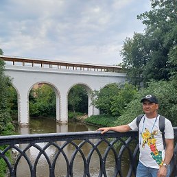 ������, 37 ���, ������