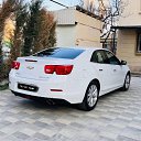 ���� Shaxrux, ������, 29 ��� - ��������� 24 ������� 2023 � ������ ���� ����������