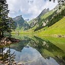 ���� �������, ������, 66 ��� - ��������� 4 ������� 2025 � ������ ������ ��������