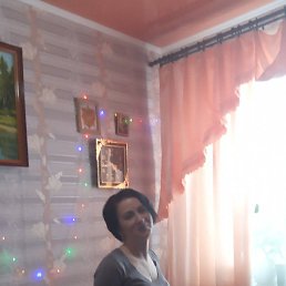 �����, �����, 44 ����