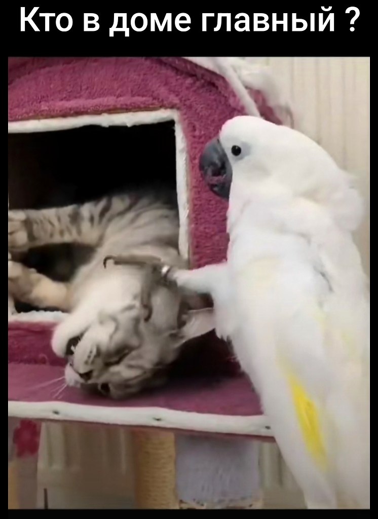 ��� � ���� �������? � ��������� ��� ������� ������ ����, �� ����� �������, �������� � �������� ...