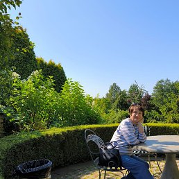 �������, �����-���������, 62 ����