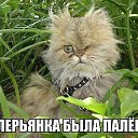 ���� �, ������� - ��������� 26 ���� 2025 � ������ ���� ����������