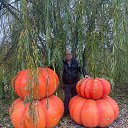 ���� Aleks, ������, 43 ���� - ��������� 26 ������ 2025 � ������ ���� ����������