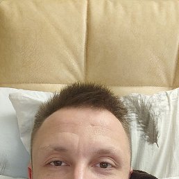 ���� ���������, �����, 43 ���� - ��������� 5 ������ 2026