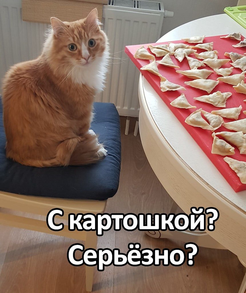 -    ... -    !