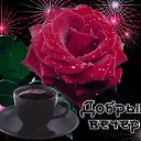 ���� �����, ����� - ��������� 5 ������ 2024 � ������ ������ ��������