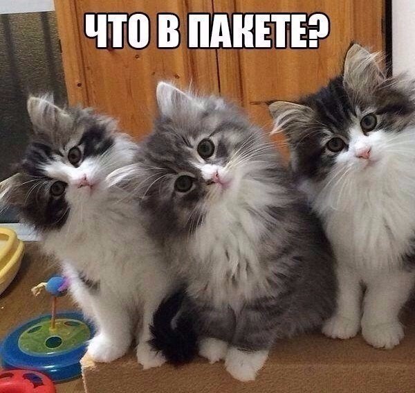 ���������� ������� - 22 ������ 2026 � 20:35