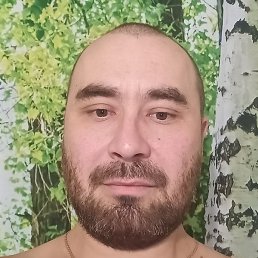 ����, �����, 36 ���