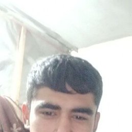 , 29, 