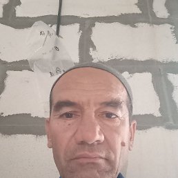 , 53, 