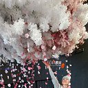 ���� �����, �����, 46 ��� - ��������� 12 ������ 2025