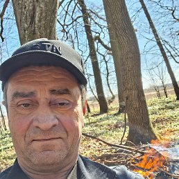 �������, 54 ����, ������