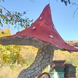 ������, �������, 43 ����